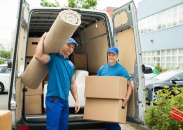 How To Choose The Best International Removal Companies?