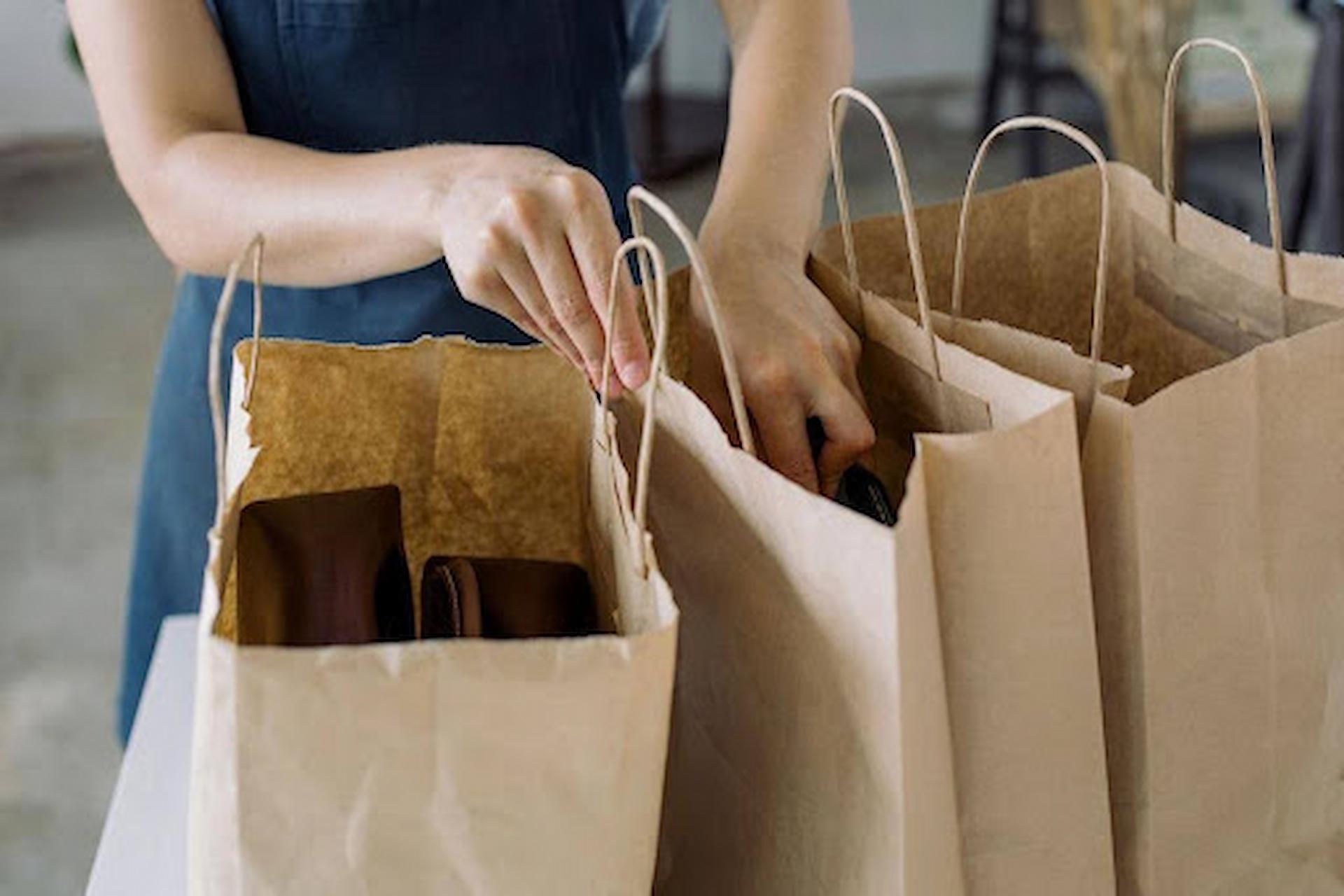 Twisted Handle Paper Bags