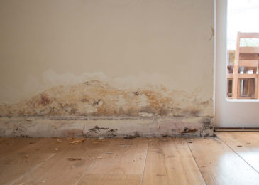Everything You Need to Know About Dampness