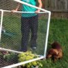 Important Tips To Get The Best Plastic Fences For Your Purpose