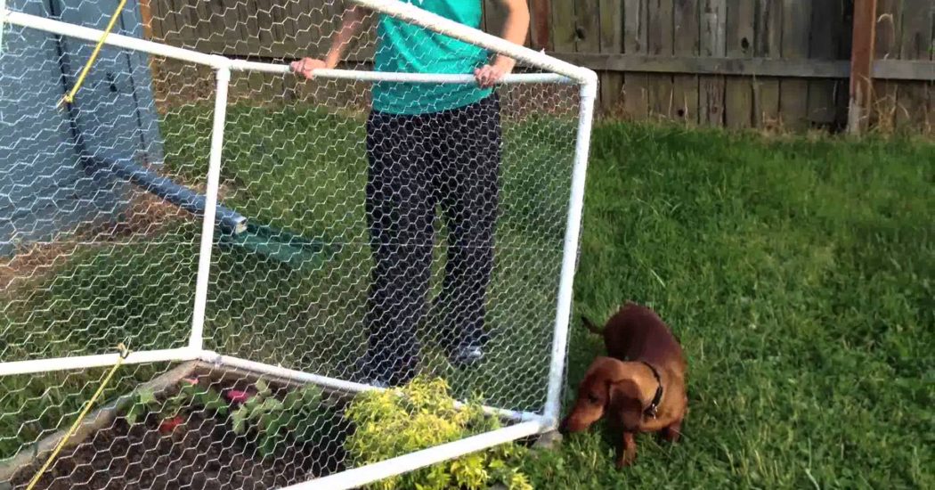 Important Tips To Get The Best Plastic Fences For Your Purpose