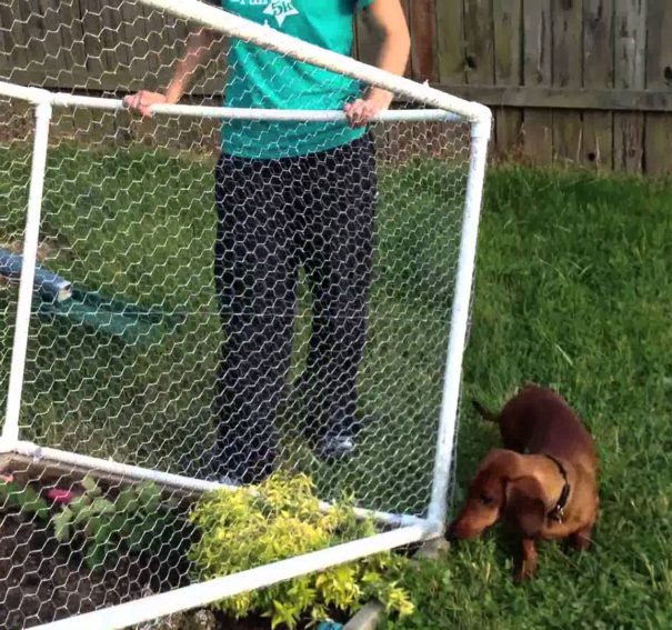 Important Tips To Get The Best Plastic Fences For Your Purpose