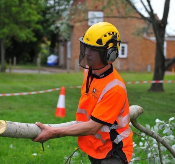 Guide To Hiring Tree Surgeons In Tiptree